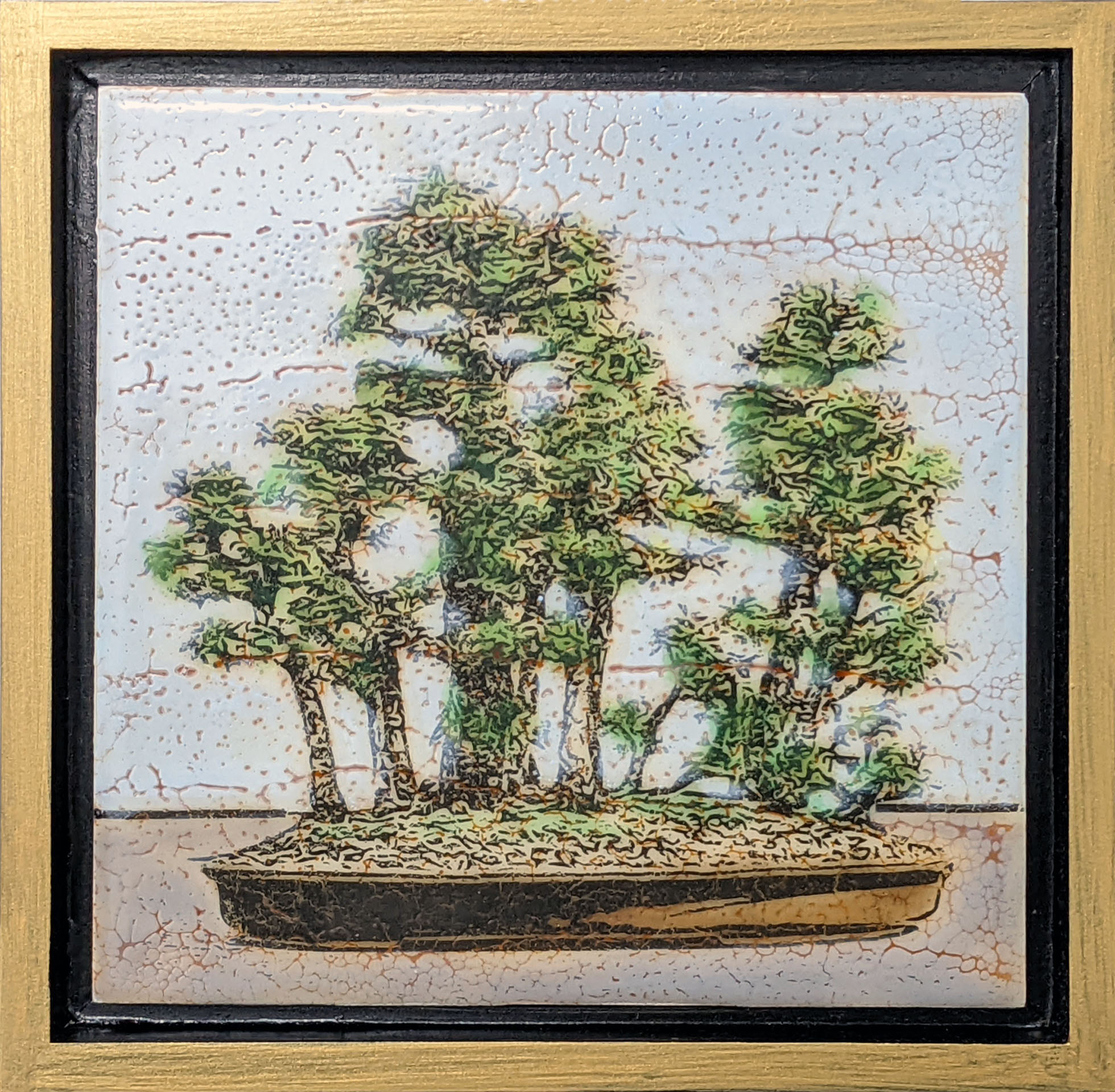 Bonsai 38 - Joel Anderson Art